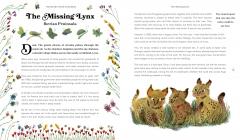 Rewild the World at Bedtime