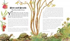 Rewild the World at Bedtime