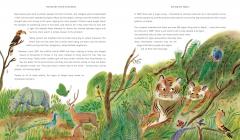 Rewild the World at Bedtime