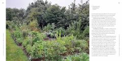 The Climate Change Resilient Vegetable Garden