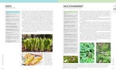 The Backyard Beekeeper, 5th Edition