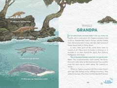 How Humans Took Over the World