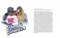 The Monkey and the Money