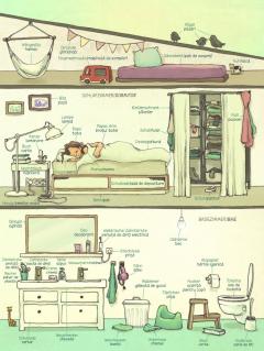 Marea minibiblioteca a cuvintelor (germana-romana)