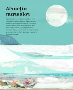 Adancurile albastre ale oceanelor