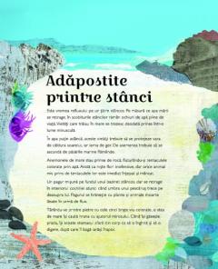 Adancurile albastre ale oceanelor