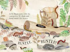 Little Snail's Book of Bugs