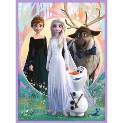 Puzzle 2 in 1 - Disney - Frozen - Printesele si taramul lor