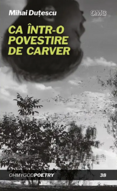 Ca intr-o povestire de Carver