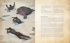 Elder Scrolls Online: The Official Survival Guide to Tamriel