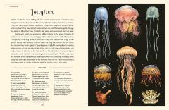 Oceanarium - Junior Edition