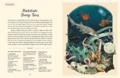 Oceanarium - Junior Edition