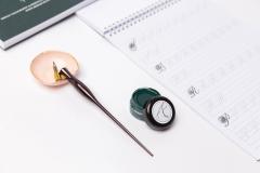 Caiet pentru caligrafie - Infloriri