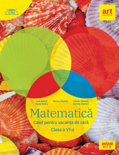 Matematica. Caiet pentru vacanta de vara. Clasa a VI-a