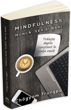 Mindfulness. Munca, sex si bani 