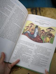 Peripetiile Alisei in Tara Minunilor