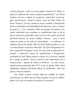 Eseuri aproape politice