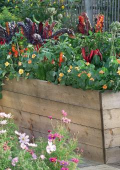 Gradinarit in straturi inaltate