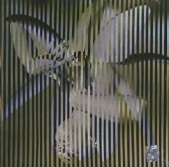 Always Ascending - Vinyl