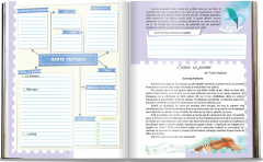 O tura prin lectura. Culegere de texte literare clasa a IV-a