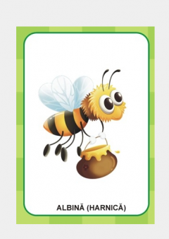 Denumeste si spune cum este!