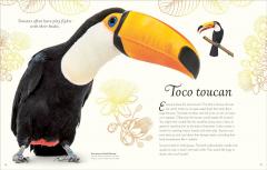 An Anthology of Exquisite Birds