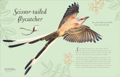 An Anthology of Exquisite Birds