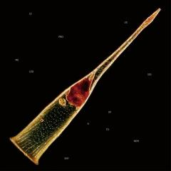 Melodies Of Atonement - Mediabook