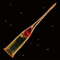 Melodies Of Atonement (2CD+Blu-ray)