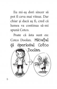 Regulile sunt reguli