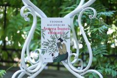 Averea bunei educatii