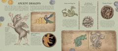 A Natural History of Dragons