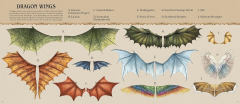 A Natural History of Dragons