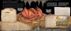 A Natural History of Dragons