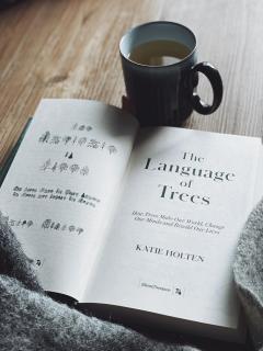 Language of Trees