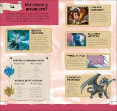 Dungeons & Dragons Pocket Expert