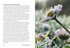 The Joy of Wintering