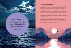 The Joy of Wintering