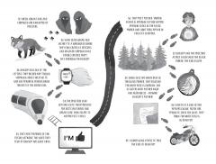 The Light Thieves and the Terrifying Dawn