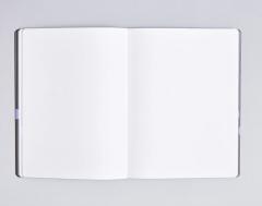 Agenda 2025 - Future Plans