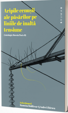 Aripile cenusii ale pasarilor pe liniile de inalta tensiune