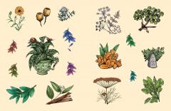 The Green Witch's Sticker Book