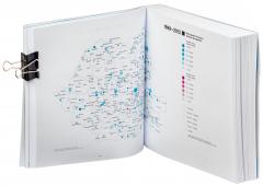 Shrinking Cities in Romania. Orase romanesti in declin