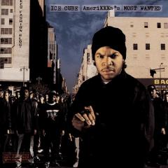 AmeriKKKa's Most Wanted - Vinyl
