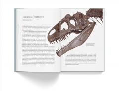 A History of Dinosaurs in 50 Fossils
