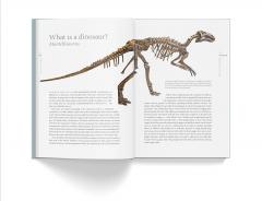 A History of Dinosaurs in 50 Fossils