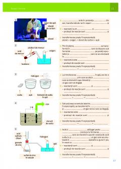 Chimie clasa a VIII-a, Caietul elevului