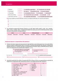 Chimie clasa a VIII-a, Caietul elevului