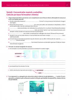 Chimie clasa a VIII-a, Caietul elevului
