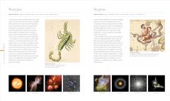 Cosmos: Explore the Wonders of the Universe